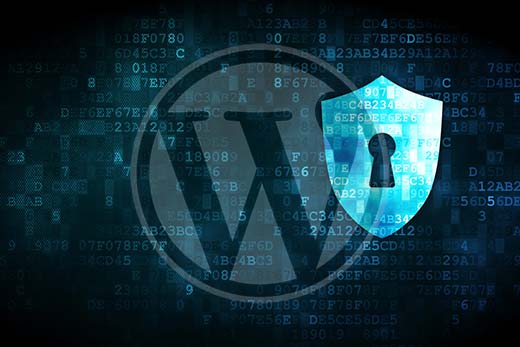 Seguridad De Wordpress