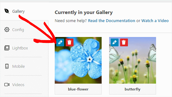 Haga Clic En El Botón Editar Para Editar Una Imagen En Su Galería.
