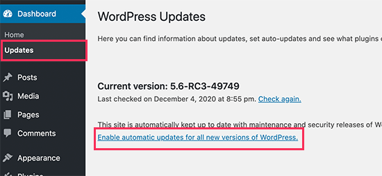 Habilite Las Actualizaciones Automáticas Para Las Principales Versiones De Wordpress