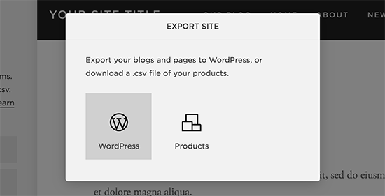 Exportar Datos De Squarespace A Wordpress
