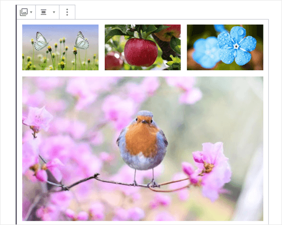 Cuatro Imágenes En La Galería (Mariposas, Manzana, Flores Azules Y Mirlo)