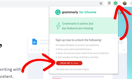 Extensión Gramatical En Chrome - Registro