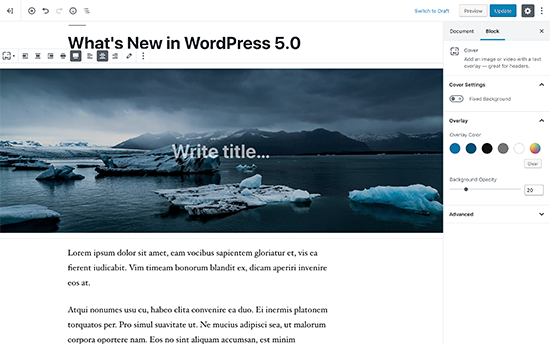 Nuevo Editor De Wordpress Llamado Gutenberg