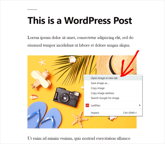 Abra La Imagen De Wordpress En Una Nueva Pestaña