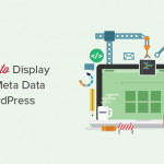 Displaying post meta data in WordPress