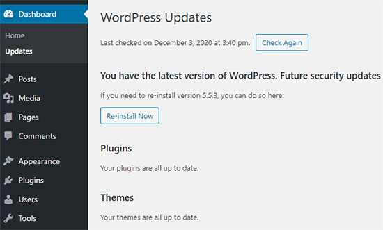 Pantalla De Actualización De Wordpress