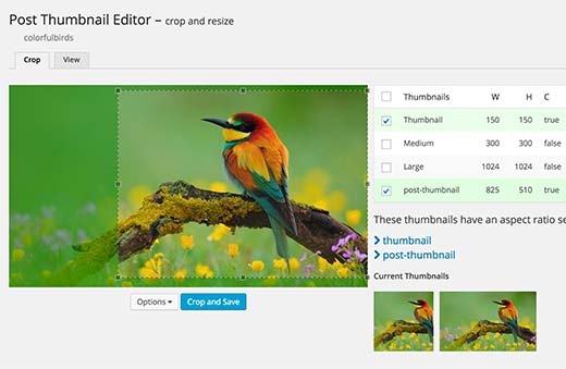 Editar miniaturas de publicaciones en WordPress