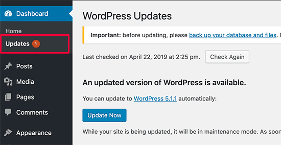 Página De Actualizaciones De Wordpress